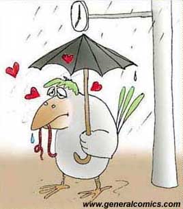 Very funny love cartoon picture